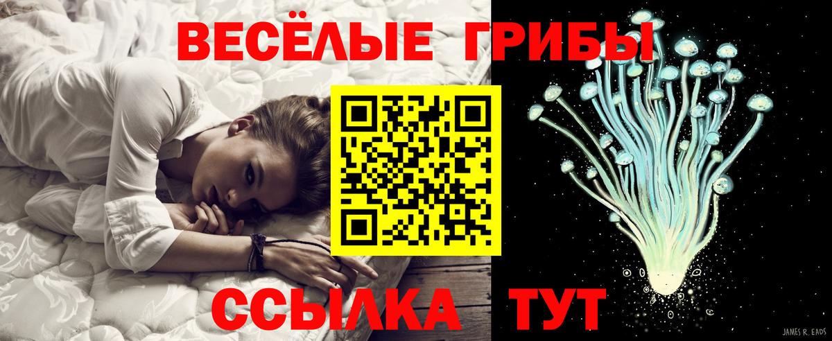 Галлюциногенные грибы Psilocybine cubensis Борисоглебск